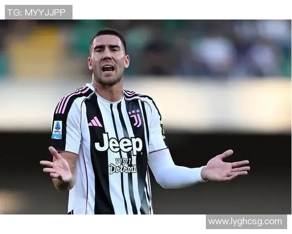 弗拉霍维奇的崛起之路：从年轻天才到足球巨星的蜕变与挑战